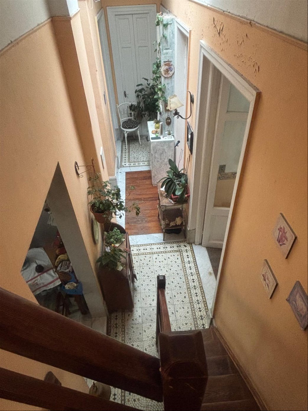 CW235144 foto 12