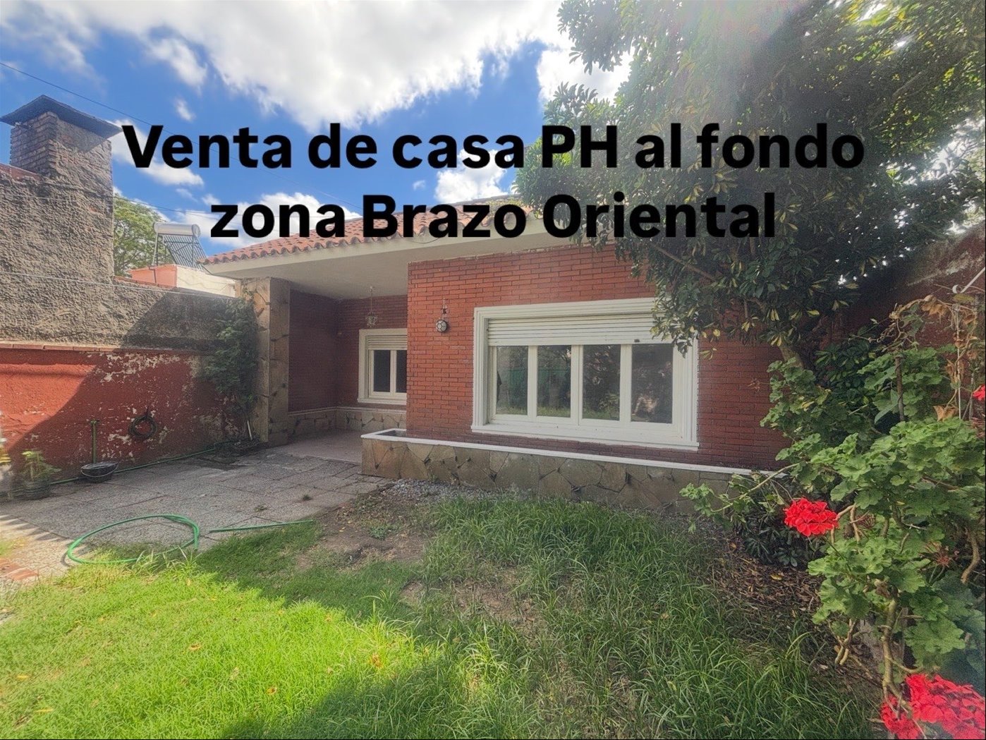 CW247533 foto 03