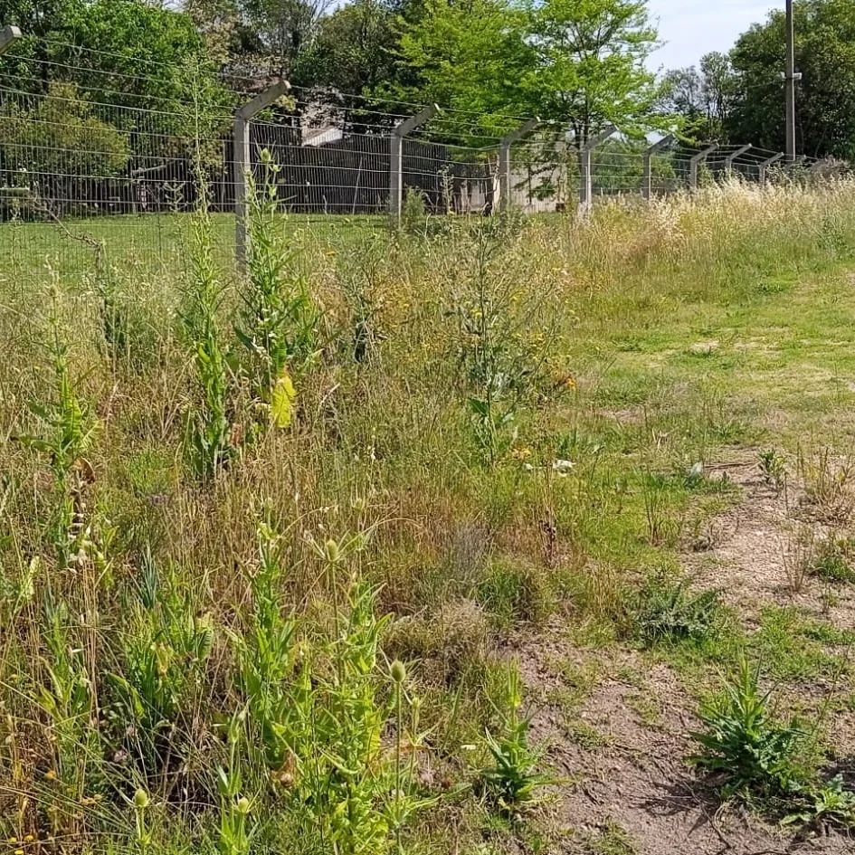 393320386_834997974944216_5375420063952621539_n