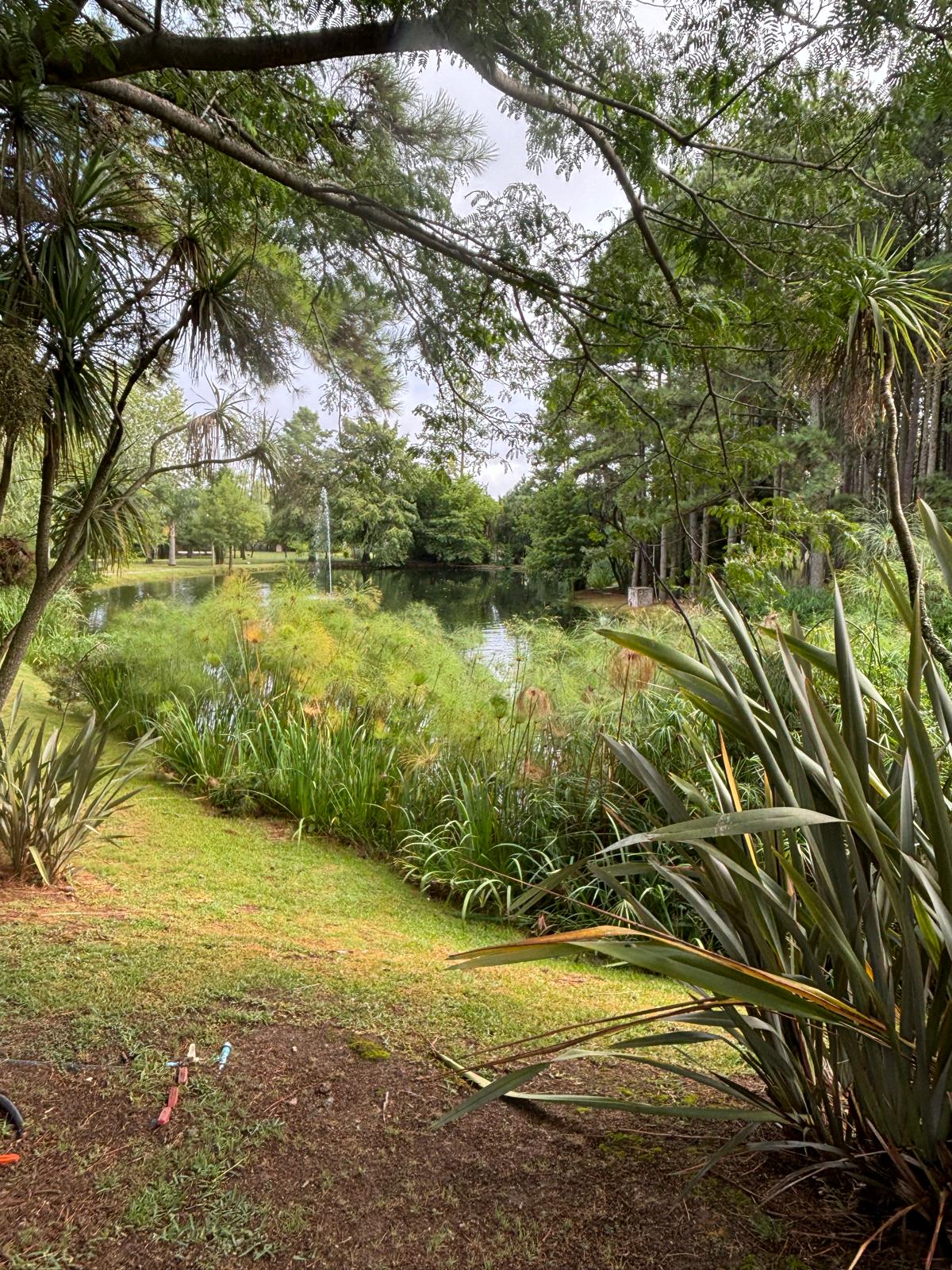 WhatsApp-Image-2024-03-03-at-11.05.35-1