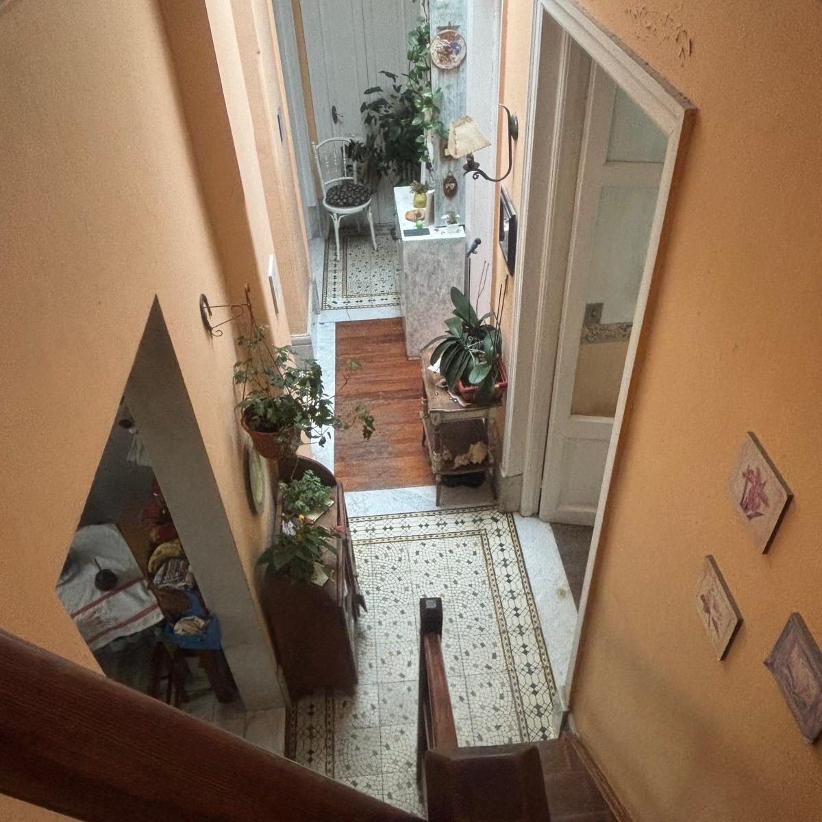 503154063_18225297313288467_6107365609200795086_n