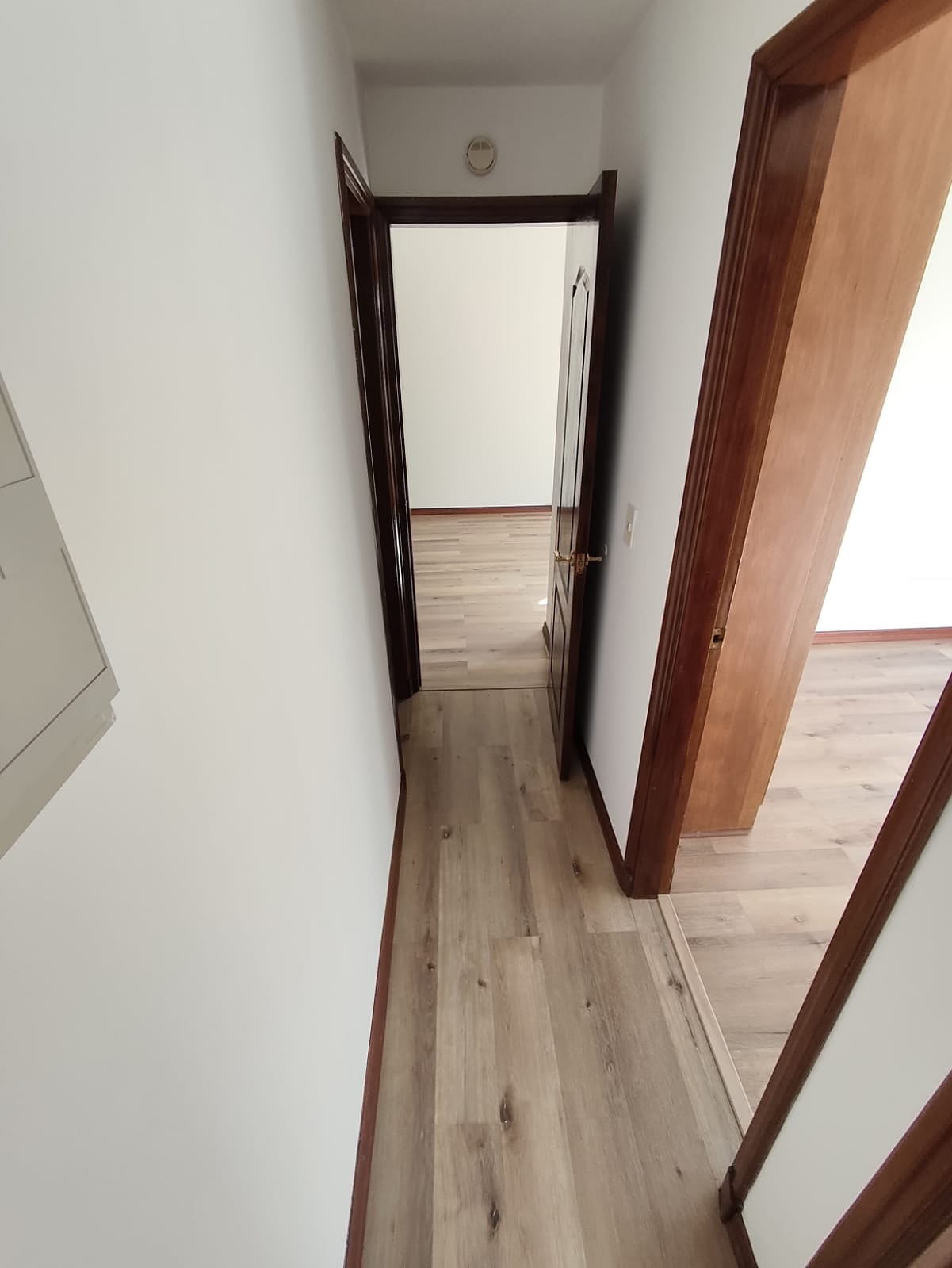 503533457_18146566333380509_9197930277695404689_n