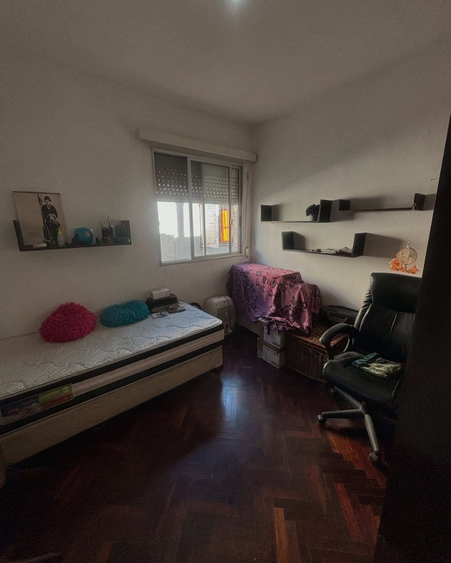 494557821_18142707403380509_4368654454456849508_n