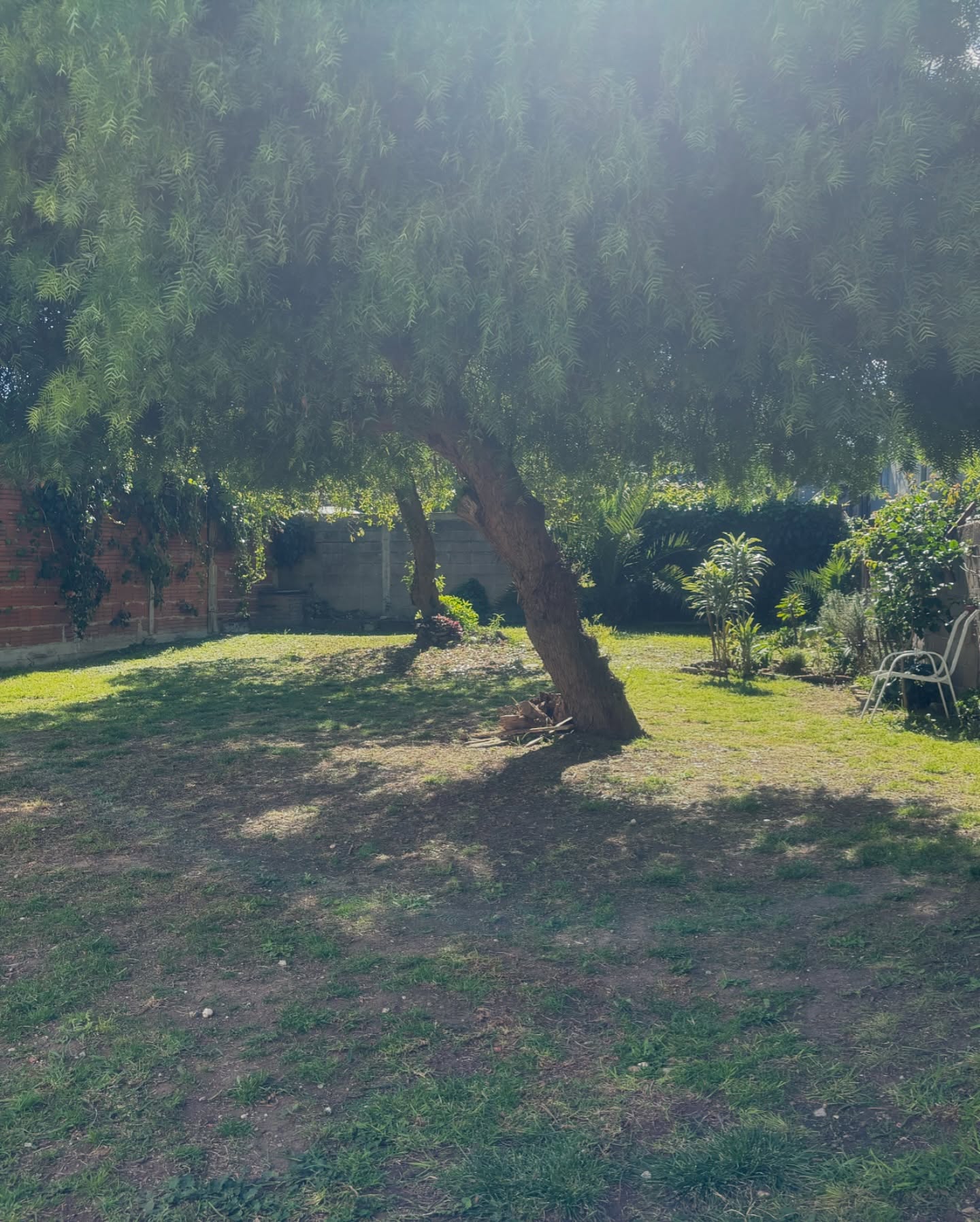 494744651_18142707502380509_8260989951460988110_n