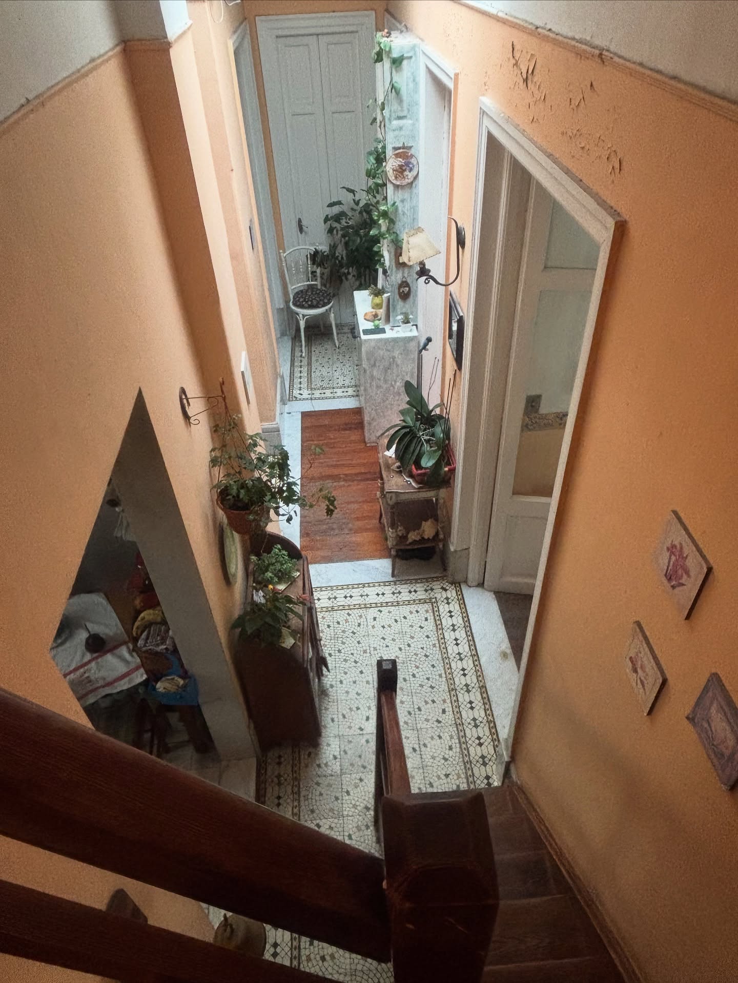 502957188_18145711246380509_3891384858748403599_n