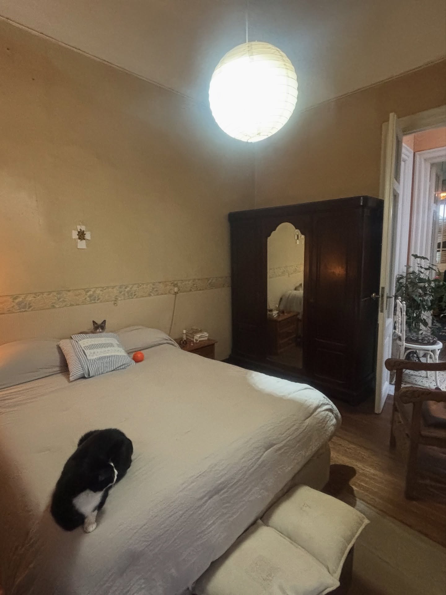 503509537_18145711192380509_4984471311488428778_n