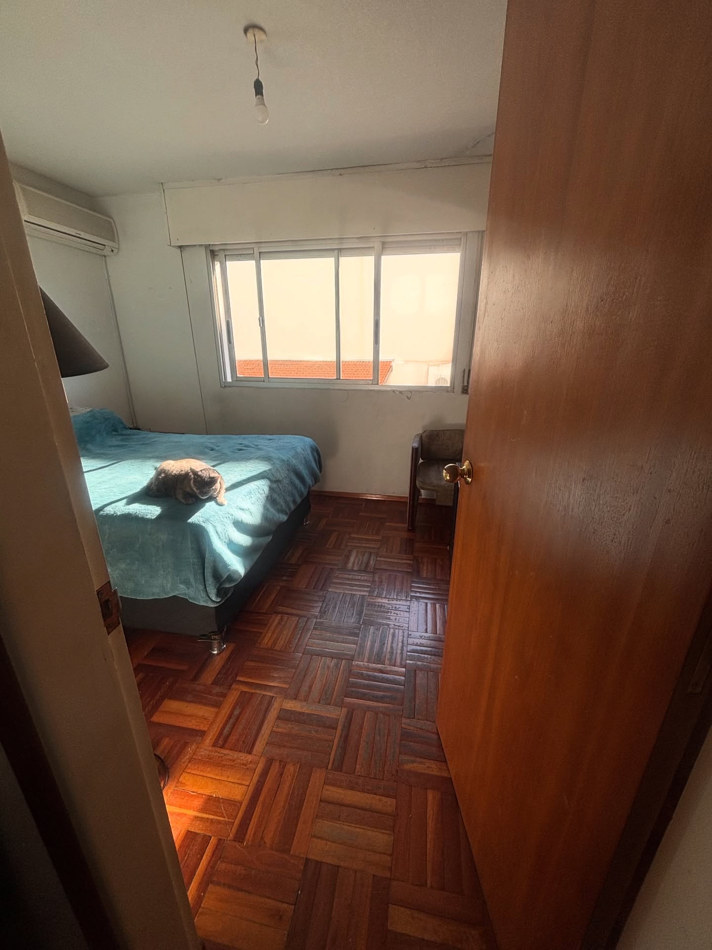 525243680_18151027753380509_6135616052474032576_n