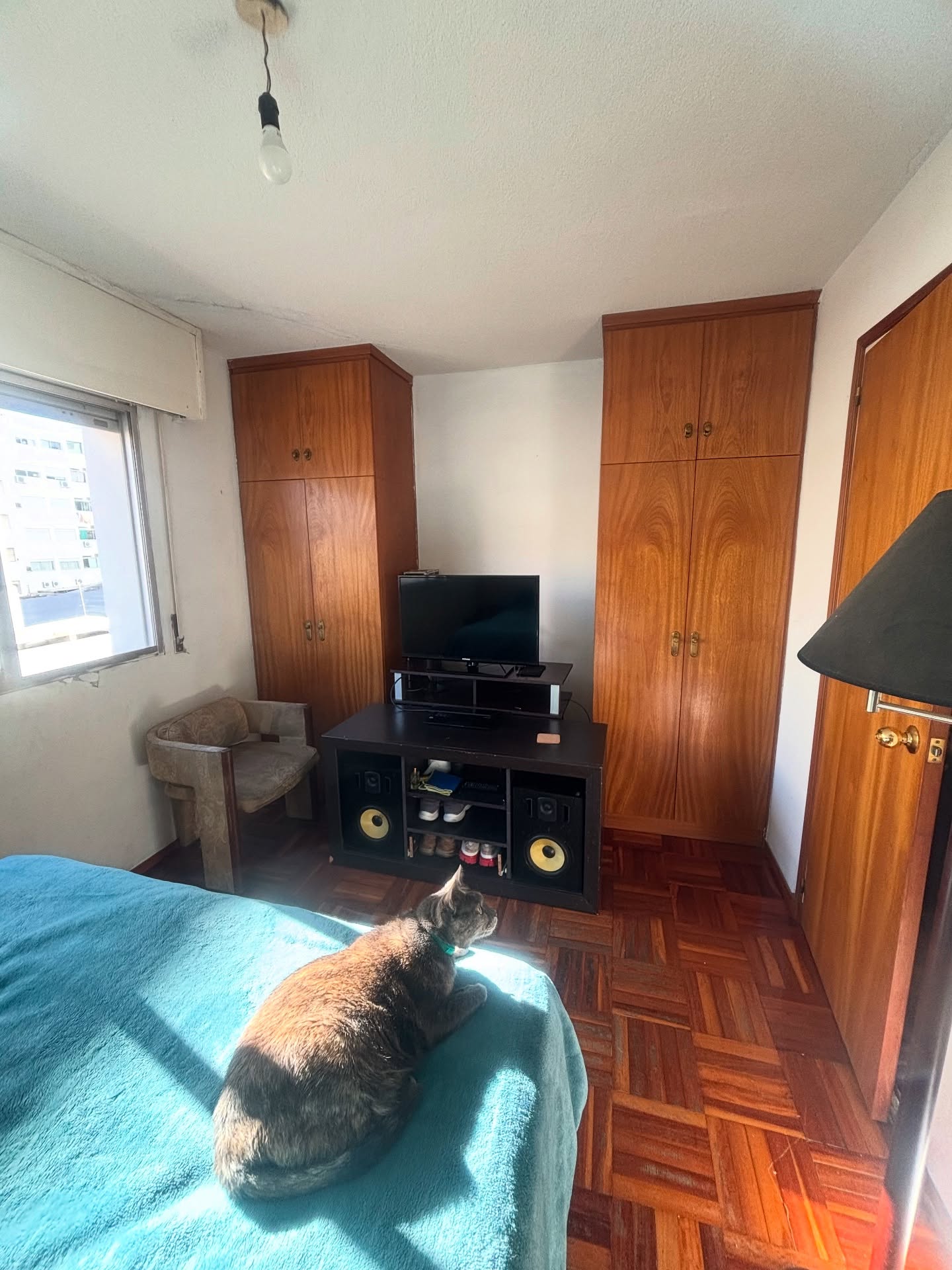 525413611_18151027786380509_7055154743270168839_n